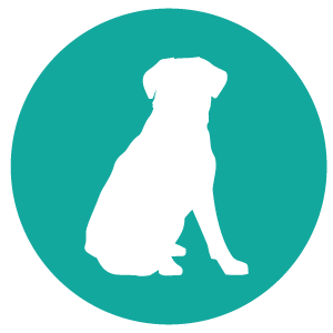 dog button-01